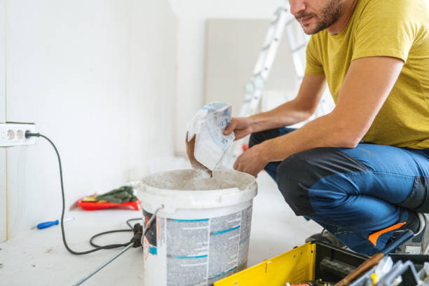 Geneseo, IL Mold Removal Company