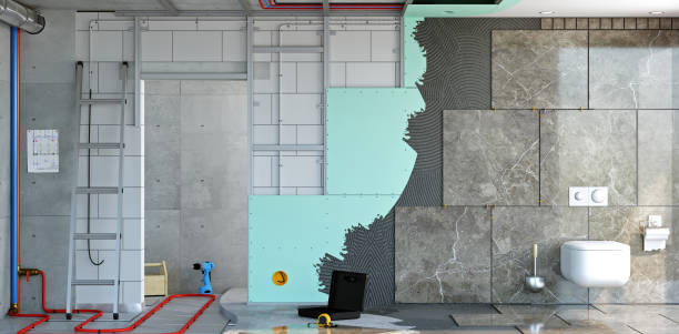 Best Black Mold Removal  in Geneseo, IL
